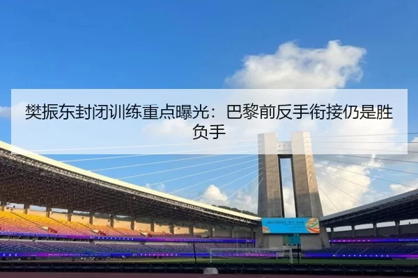 樊振东封闭训练重点曝光：巴黎前反手衔接仍是胜负手