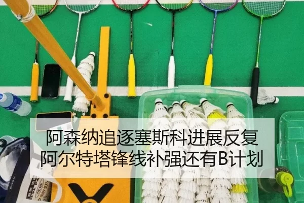 阿森纳追逐塞斯科进展反复 阿尔特塔锋线补强还有B计划