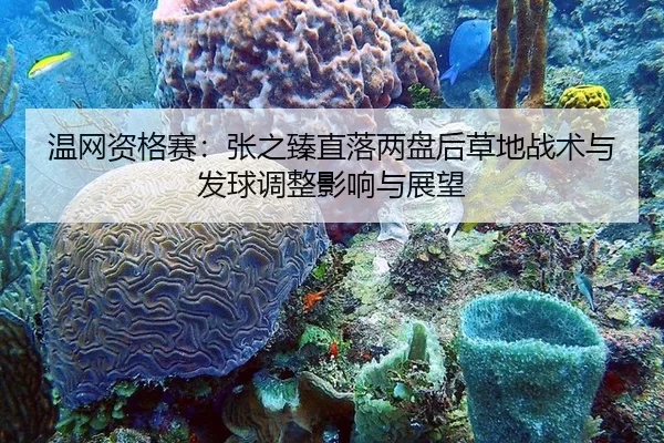 wen-wang-zi-ge-sai-zhang-zhi-zhen-zhi-luo-liang-pan-hou-cao-di-zhan-shu-yu-fa-qiu-tiao-zheng-ying-xiang-yu-zhan-wang-2-245.jpg